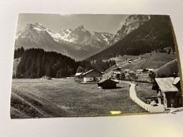 Diemtigtal Simmental 