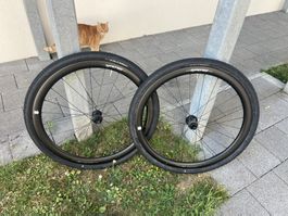 SYNCROS Capital 1.0 40 Laufradsatz (Scott Addict Gravel 26)