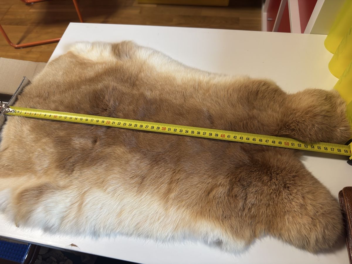 Il mondo degli animali: Kaninchenfell  – Nuovo (secondo la descrizione) da Grossaffoltern venduto da sherry73 2