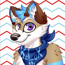 Profile image of MediaRescuerKeLoX