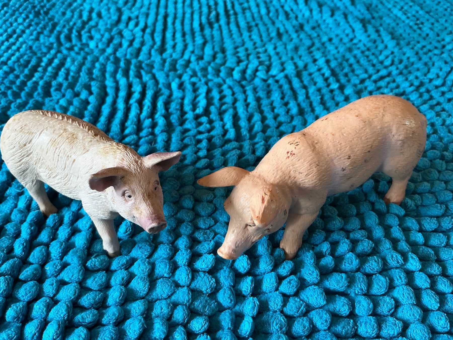Schleich Figuren: 2 Schleich Schweine – Gebraucht aus Bern von Sistakaiman