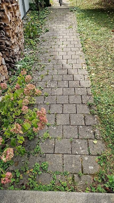 Bodenbeläge: Gartenstein - gratis  – Gebraucht aus Birmensdorf ZH von Dania1 1