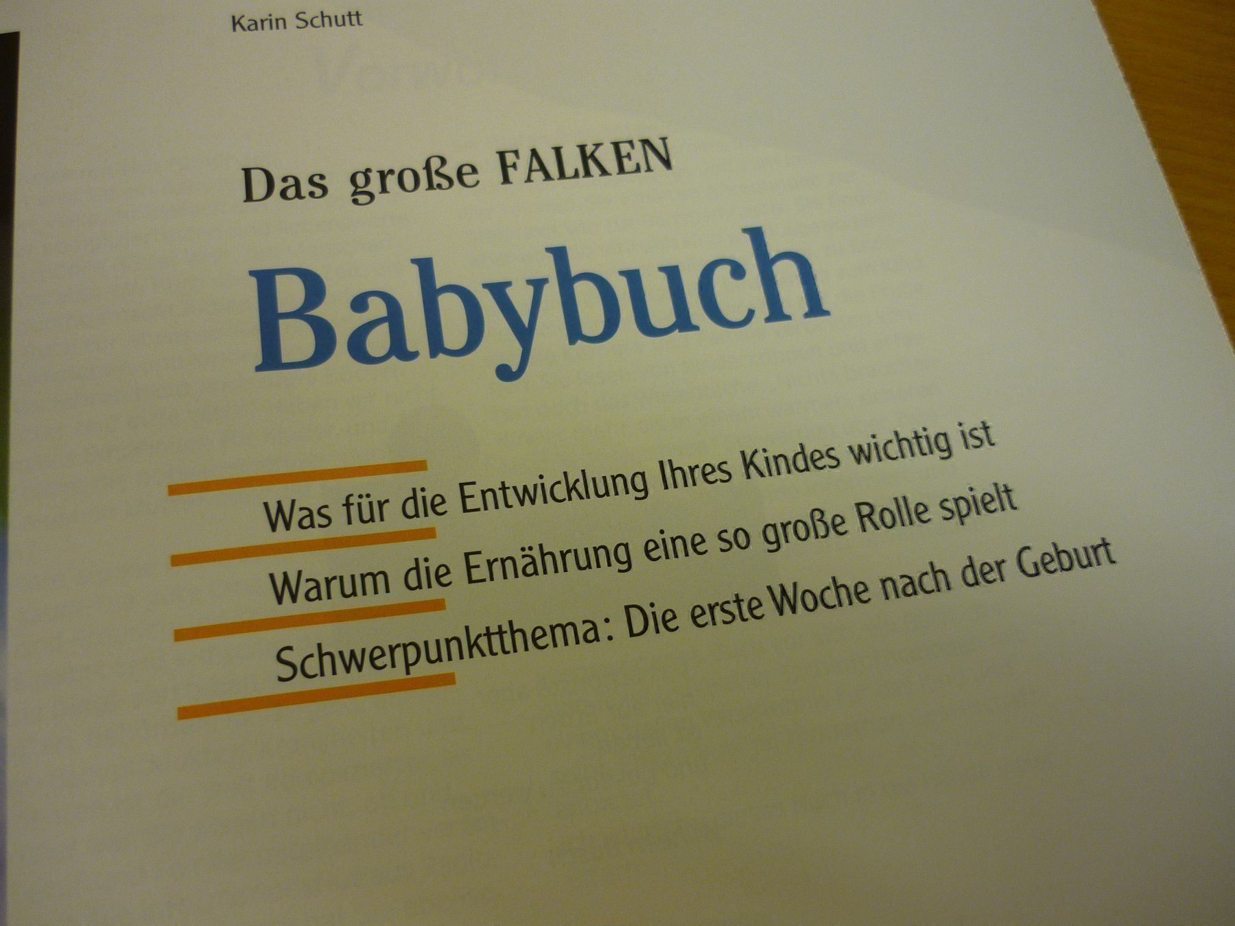 Libri: Das grosse Babybuch (Eltern-Ratgeber) – Usato da Jonschwil venduto da bsn_p8dl 1