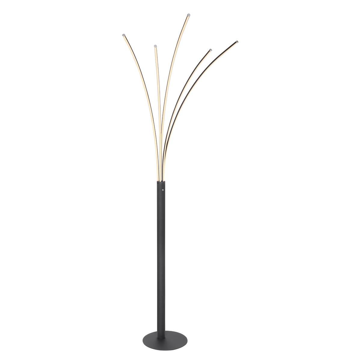 Lampade: LED Stehleuchte, Dimmbar, 187 cm Höhe – Nuovo (secondo la descrizione) da Kreuzlingen venduto da Smart-Light 2