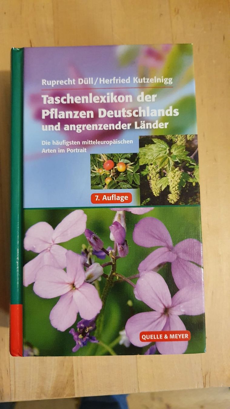 Bücher: Buch  Taschenlexikon der Pflanzen – Neu (gemäss Beschreibung) aus Worb von Buespy