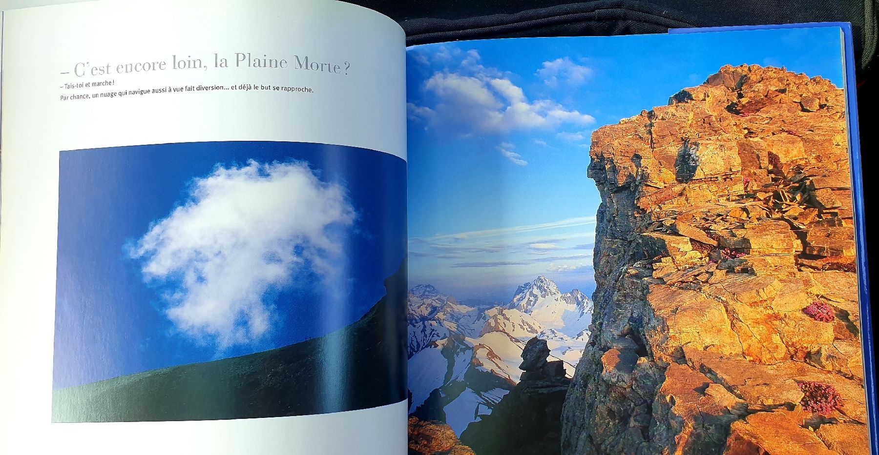 Bücher: Alpes valaisannes – Gebraucht aus Hauterive NE von Belem 4