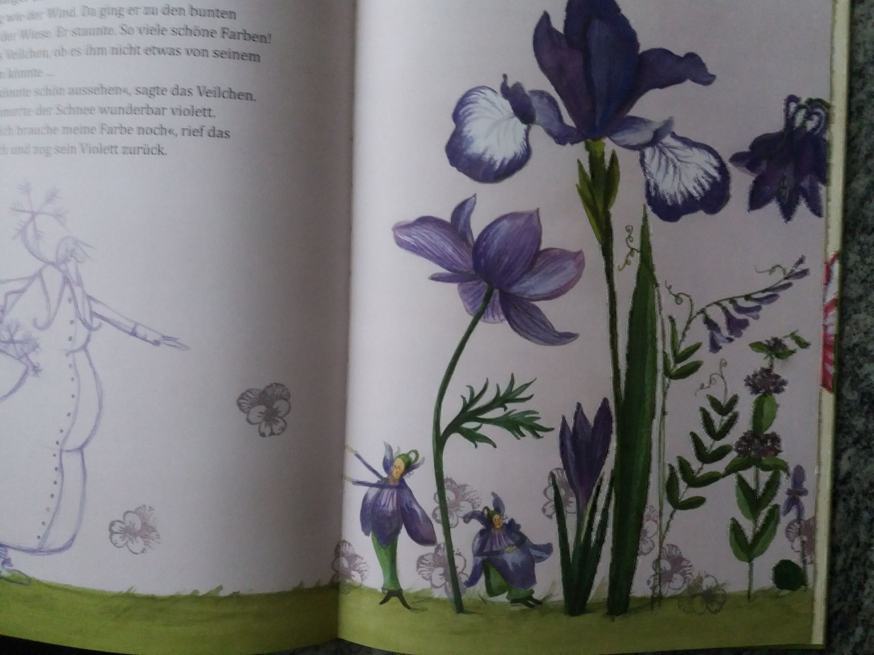 Libri: Warum der Schnee weiss ist – Usato da Chur venduto da Nisami 3