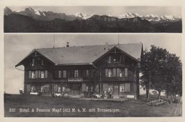 Napf   BE  -  Hôtel-Pension NAPF mit Berner Alpen  um  1922