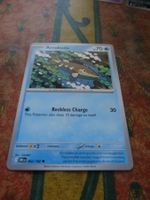 POKEMON  Arrokuda   I  DRI EN  062/082  HP70   2025
