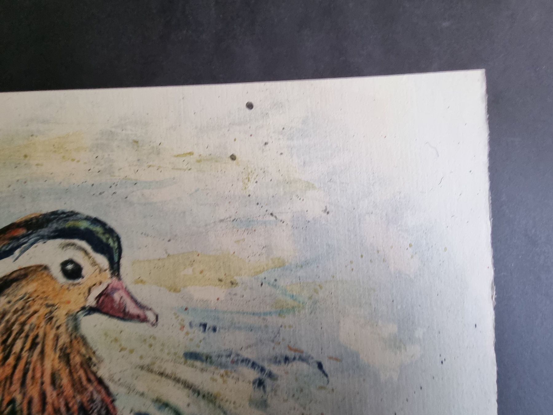 Grafica & Litografie: FRITZ HUG ORIGINAL LITHOGRAPHIE SIGNIERT NUMMERIERT – Usato da Gersau venduto da kunst-online 3
