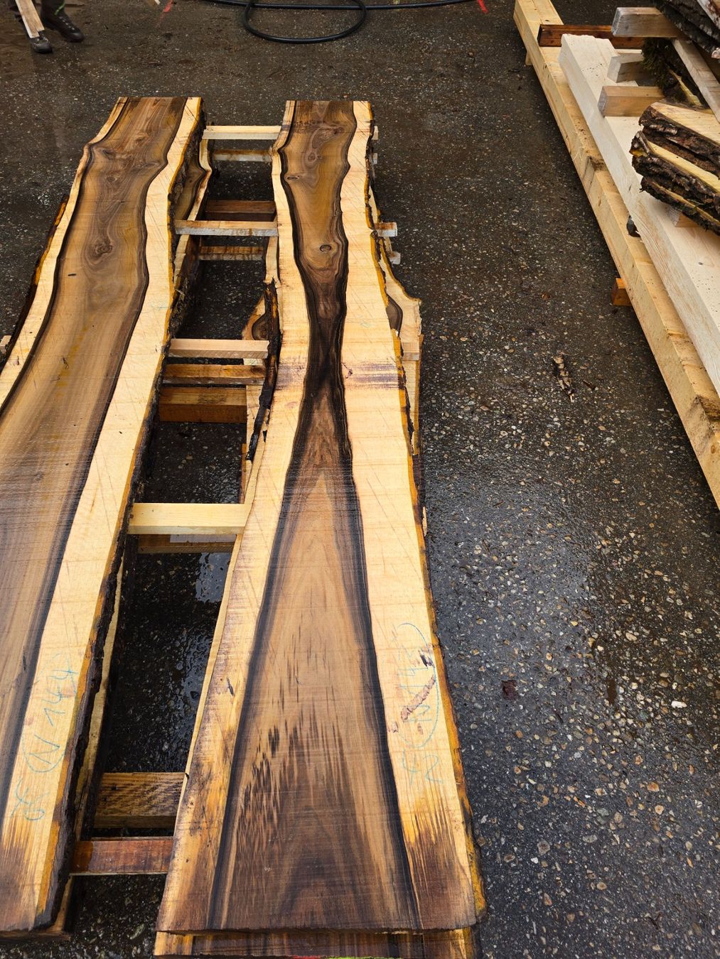 Articoli in legno: Nussbaumbrett Nr. N143 – Nuovo (secondo la descrizione) da Ramsei venduto da Waelchris
