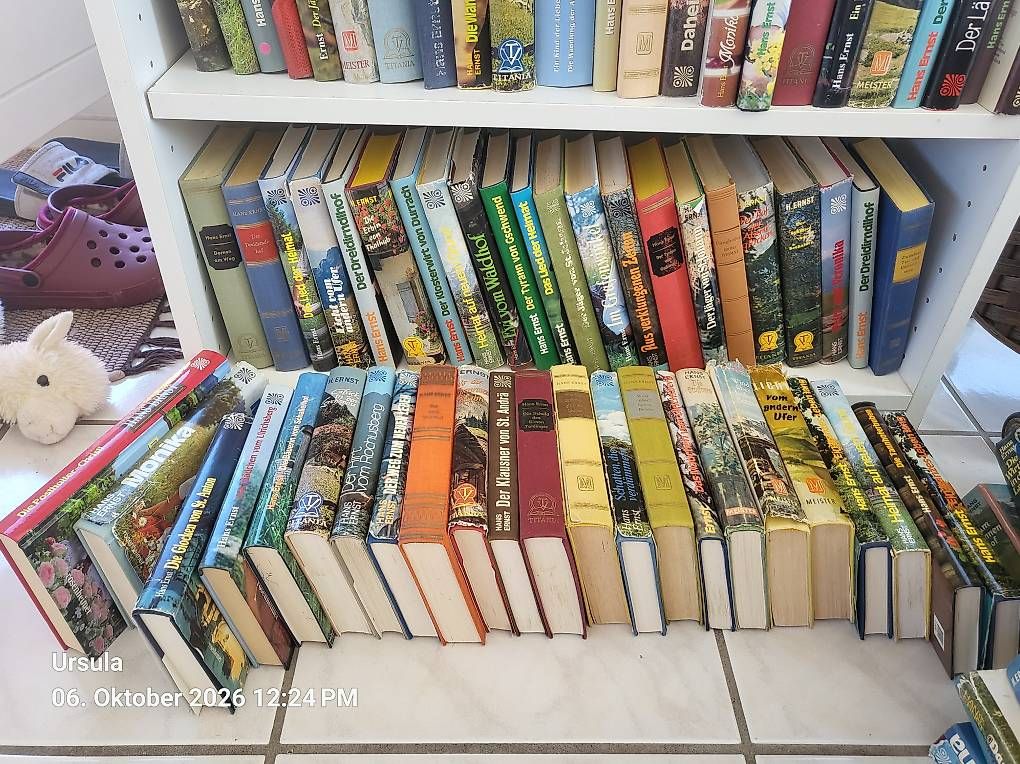 Livres: HANS ERNST BÜCHER  – D'occasion à Rüti ZH par poopey 1