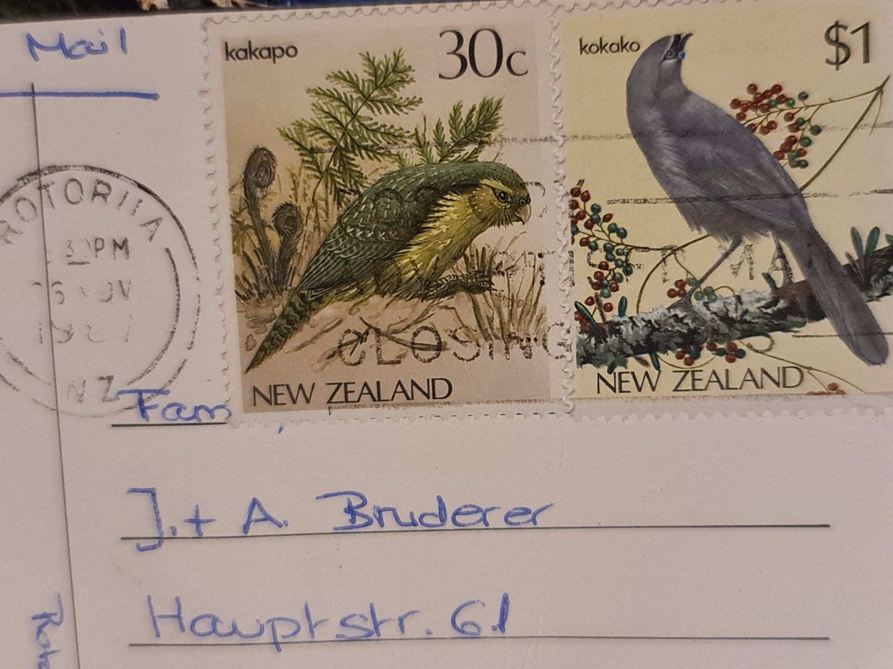Cartoline postali: Ansichtskarte Rotorua Neuseeland – Usato da Dintikon venduto da Vexi 1