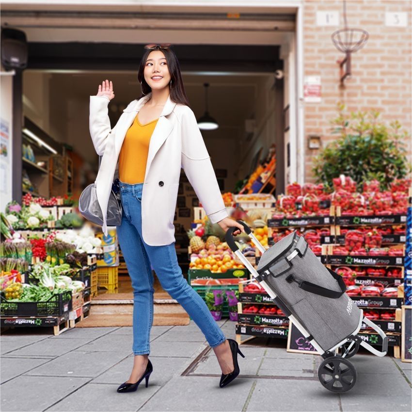 Altro per la casa: 3in1 Einkaufstrolley Grau - NEU – Nuovo (secondo la descrizione) da Nebikon venduto da warendiscount