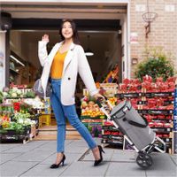 3in1 Einkaufstrolley Grau - NEU