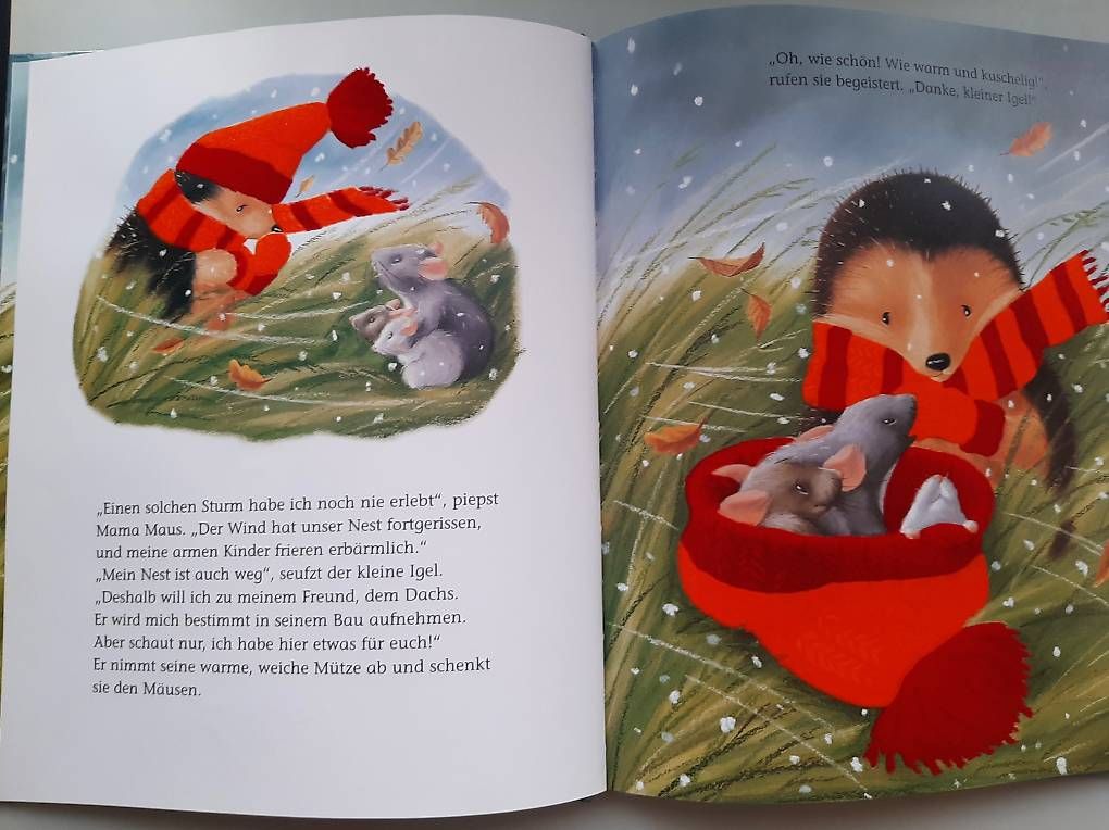 Bücher: Kinderbuch "Der kleine Igel und das grosse Geschenk", ab 3 J – Gebraucht aus Basel von Renato_hirzi 1