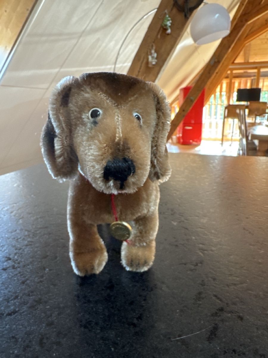 Teddy Hermann Giocattoli: Original Dackel Hermann Teddy Vintage – Nuovo (secondo la descrizione) da Schmitten FR venduto da mantom 2
