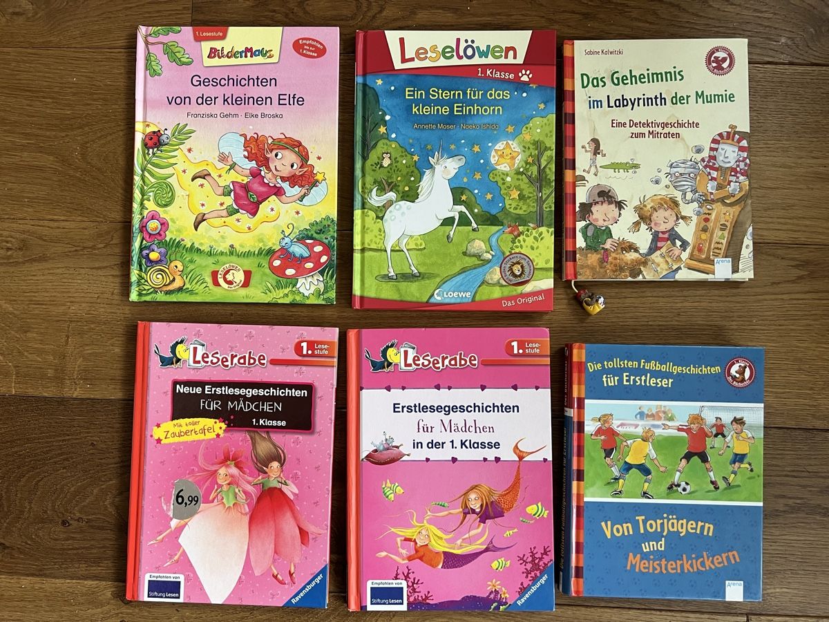 Libri: Erstlese- Bücher 1.Lesestufe – Usato da Stettlen venduto da t.rentsch
