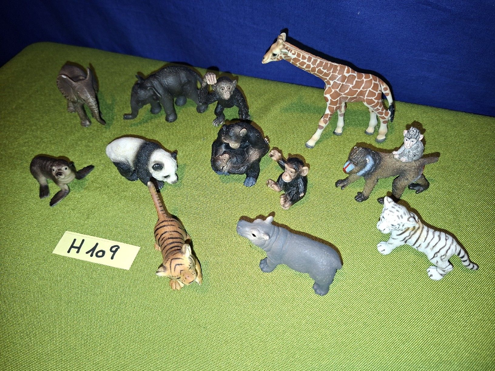 Schleich Jouets: Schleich Wildtiere H109 – D'occasion à Aarberg par Fink010 1