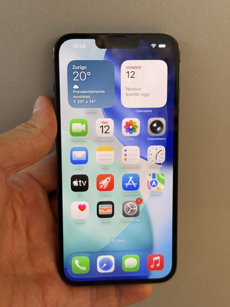 Apple Telefoni cellulari / Smartphones: iPhone 13 Pro Max 256 GB – Usato da Giubiasco venduto da HaveFunTI