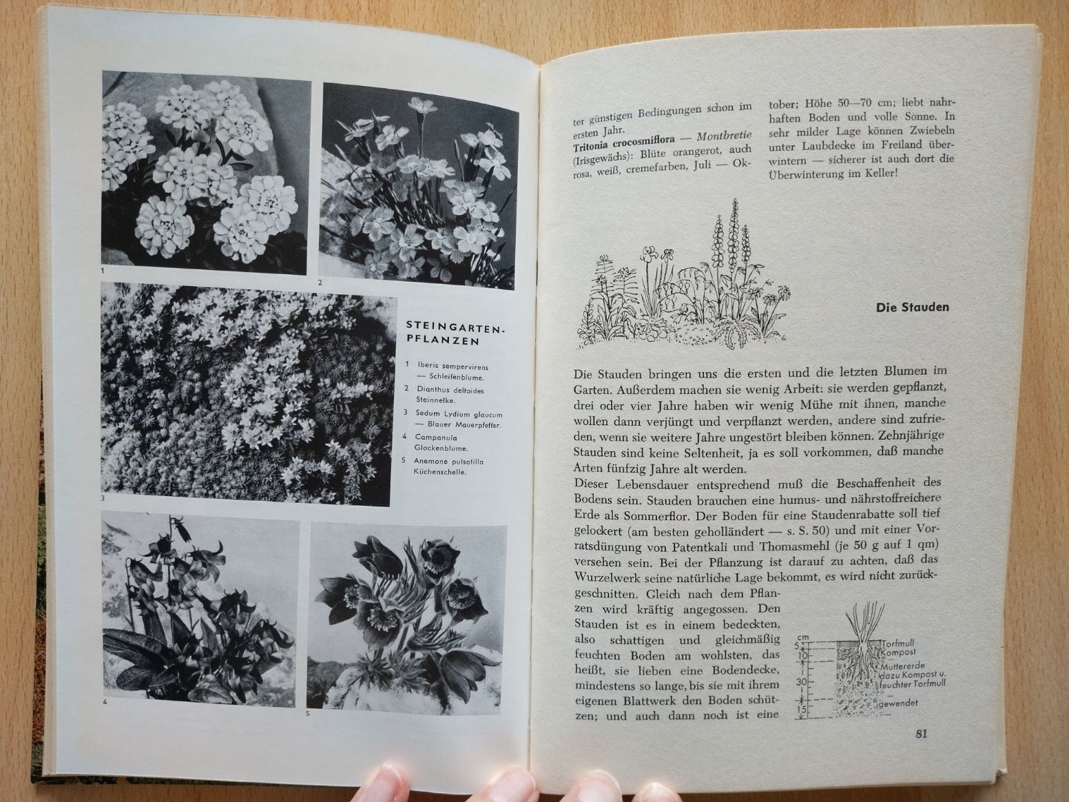 Libri: Herders Gartenbuch – Usato da Jona venduto da Argus36 5