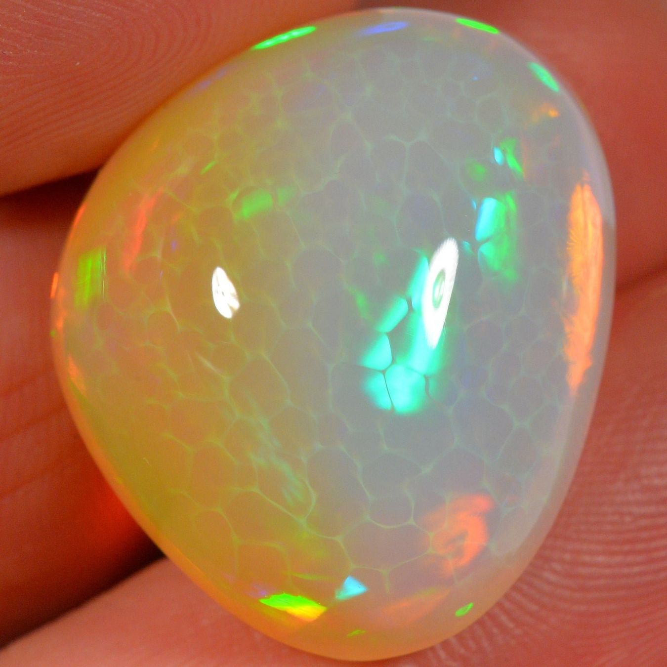 Edelsteine: 32.3 Karat - Äthiopischer Welo Opal – Neu (gemäss Beschreibung) aus Rüti ZH von DeinOpal 2