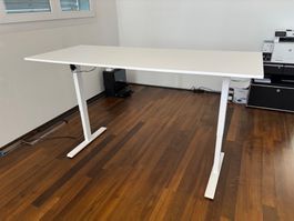Häfele 80x200x71-120 elektrisch höhenverstellbar weiss Tisch