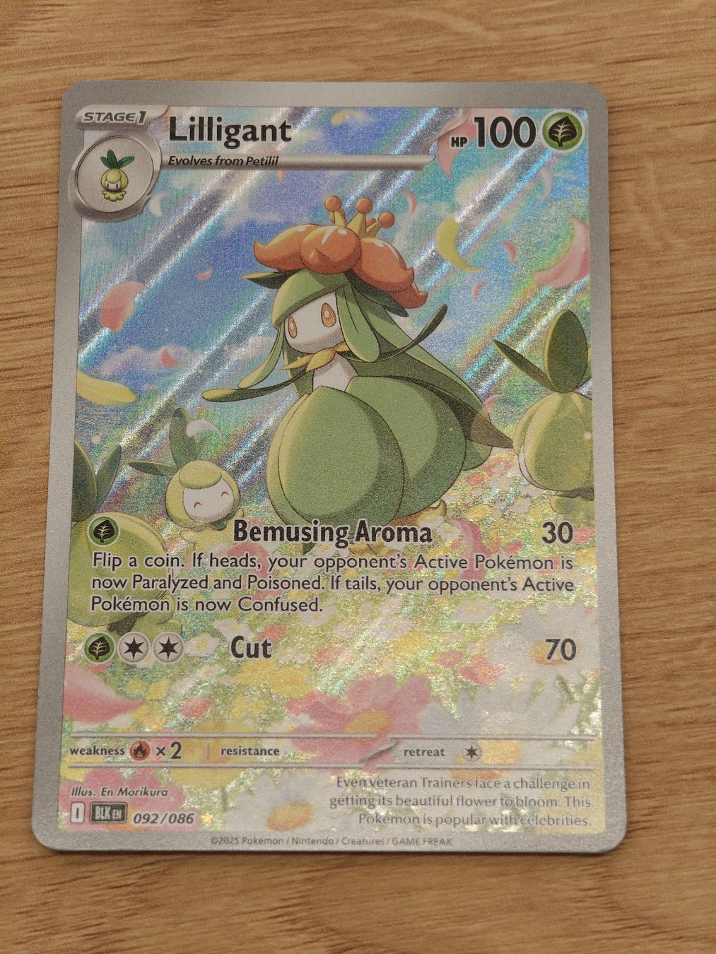 Pokémon Carte collezionabili: Lilligant 92/086 EN – Nuovo (secondo la descrizione) da Therwil venduto da Cordachu_Trade