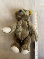ORIGINAL Steiff Teddy