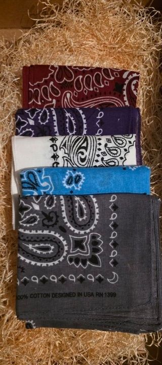 Foulard & Sciarpe: Scarf designed in USA – Nuovo (secondo la descrizione) da Chur venduto da ACE18 1