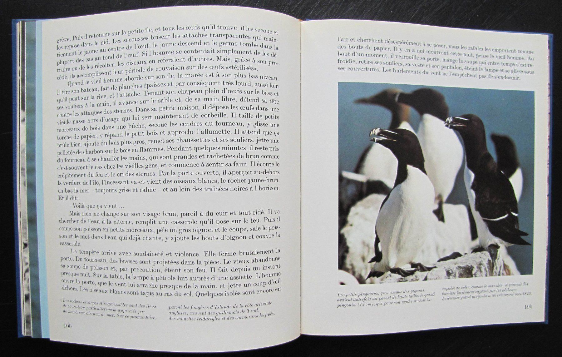Libri: Oiseaux des terres lointaines. Ed Mondo – Usato da Genève venduto da Brindisina2019 7