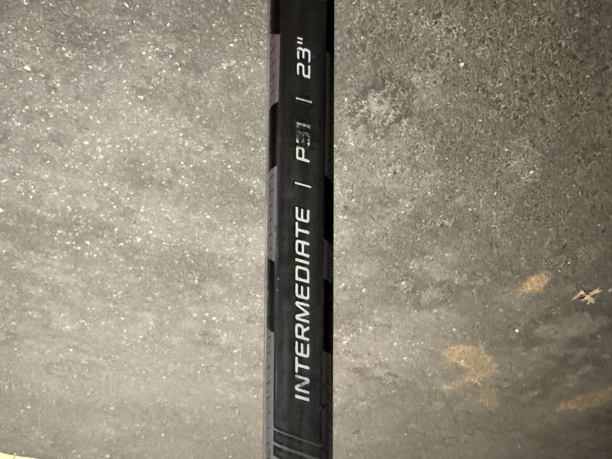 Crosses & Cannes: Eishockey Goaliestock – D'occasion à Niederbipp par Sirstef 2