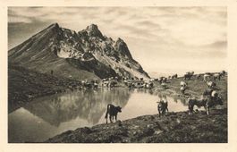 Alpseeli auf Gotschna mit Casanna (GR)