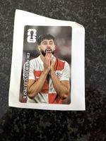 Panini 