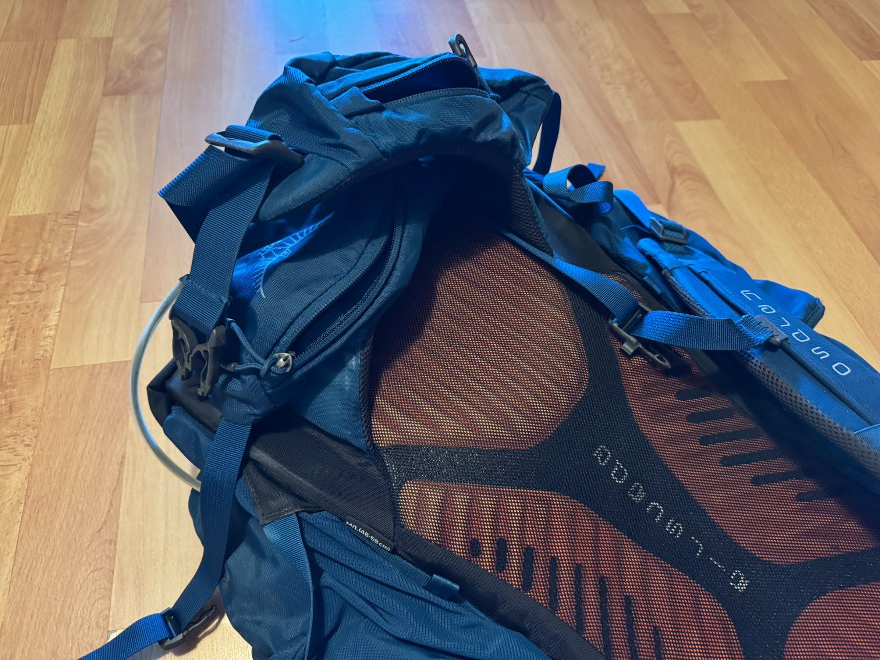 Osprey Rucksäcke: Backpack Osprey Kestrel L size 68 liters – Gebraucht aus Renens VD von romaroman 2