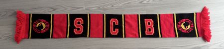 Sc Bern Schal