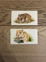 2 kleine Original Bilder Hamster, handgemalt