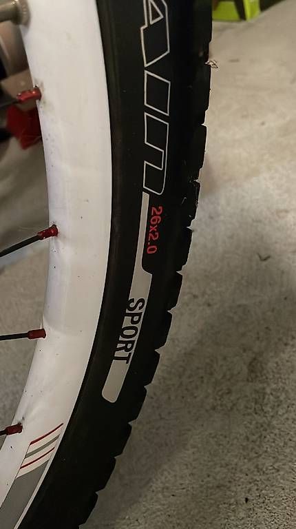 Velos: Specialized Bike velo – Gebraucht aus Reinach von Lenal001 4
