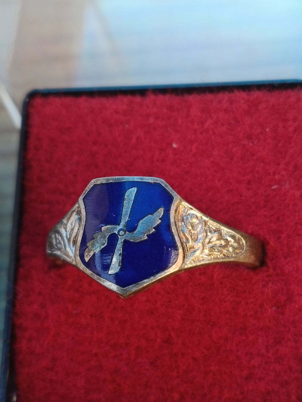 Schweizer Armee Uniformi: Historische Schweizer Militär Ringe Schweizer Luftwaffe 1930 – Usato da Brugg AG venduto da Ente015 2