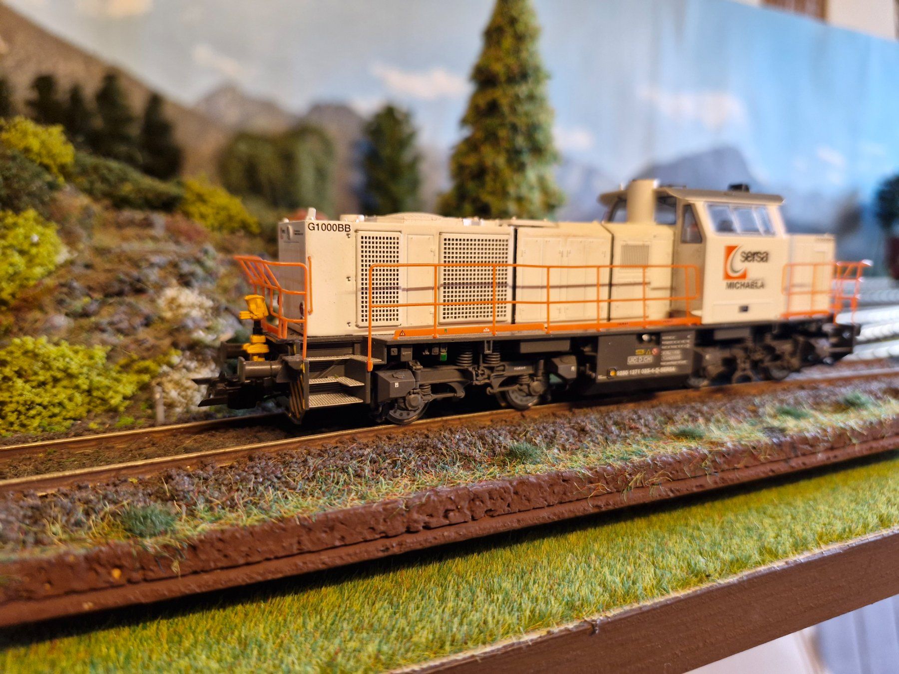 Esu Modellini di ferrovie: Sersa G1000BB der Fa.ESU – Usato da Stans venduto da marlene330