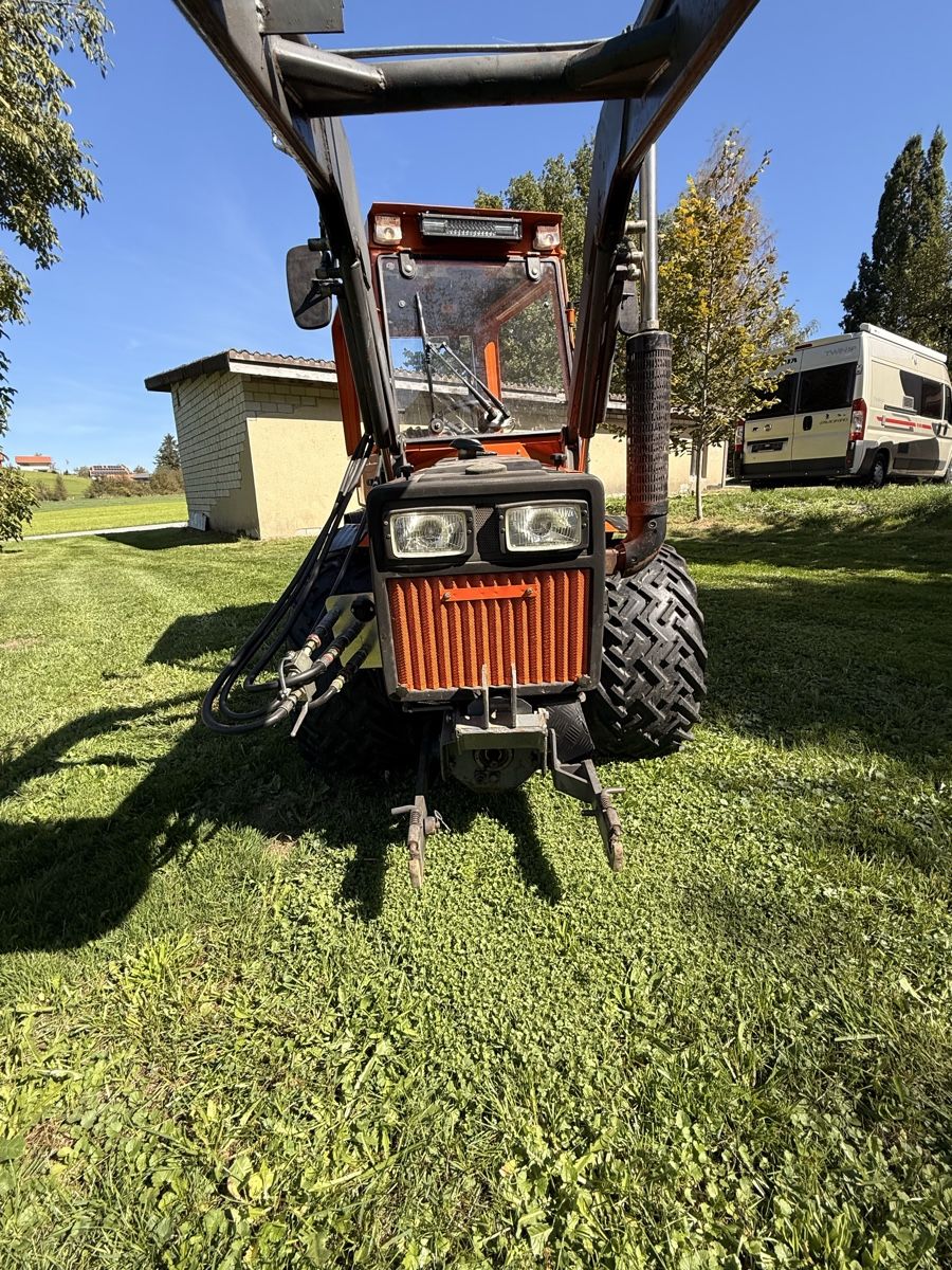 Holder Tracteurs: Holder C30 – D'occasion à Höfen b. Thun par elrotto2 2