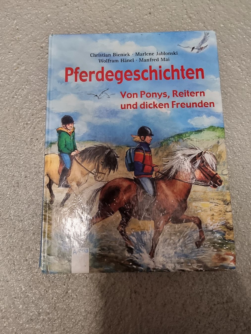 Libri: Pferdegeschichten – Usato da Buttikon SZ venduto da Limo180