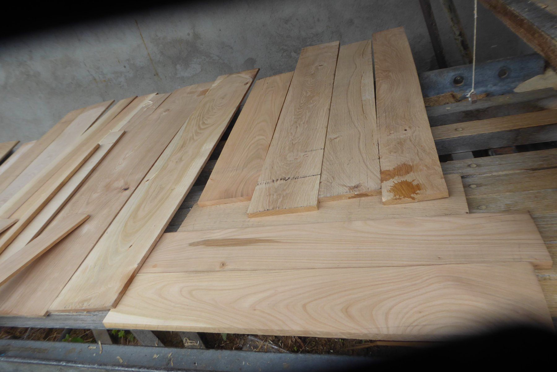 Articoli in legno: Hartholzbrettli 6 und 12 mm – Nuovo (secondo la descrizione) da Sumiswald venduto da Hennri1 1