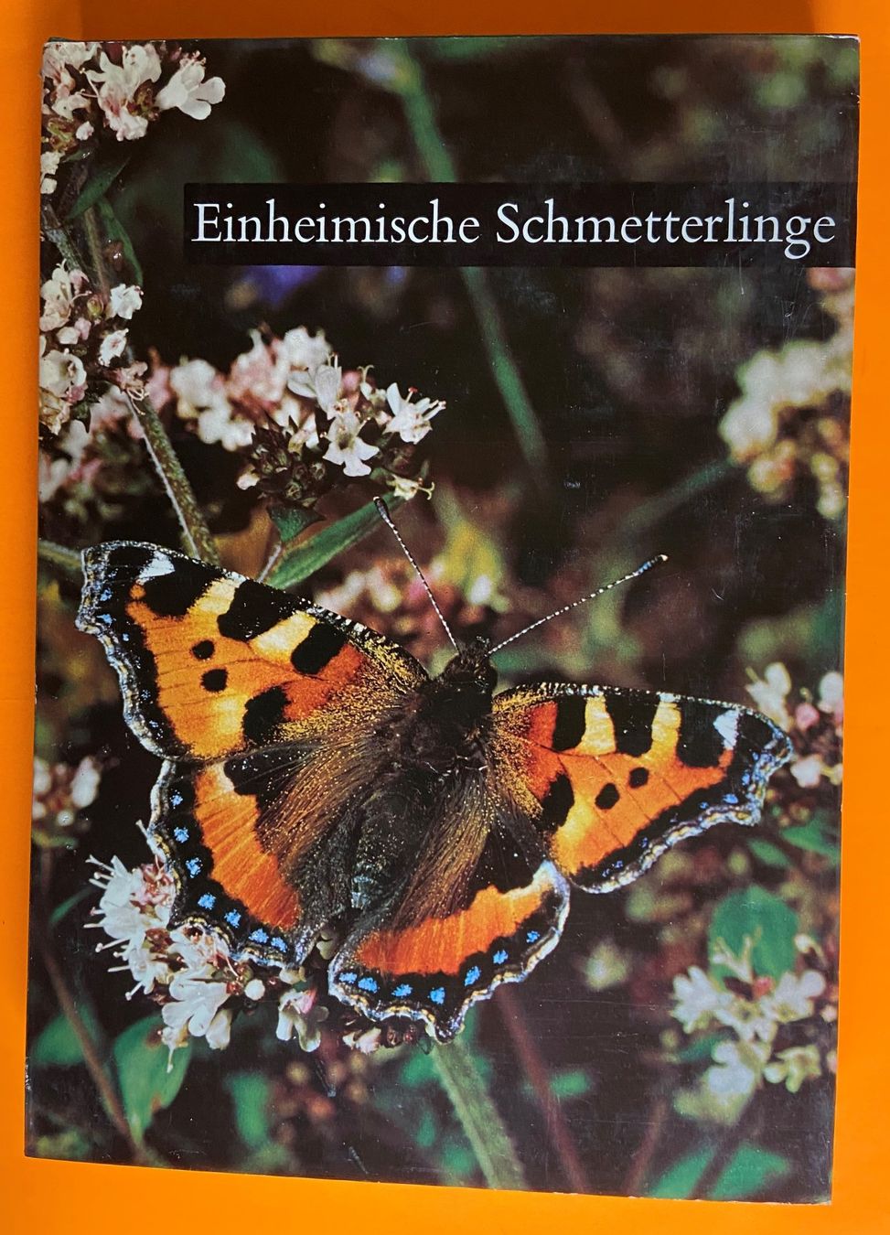 Libri: 5 Silva Bücher – Usato da Böckten venduto da Hansi36 4