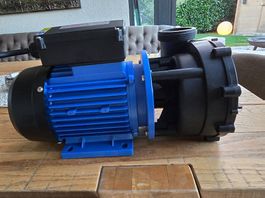 LX LP200 - Massagepumpe für Whirlpool