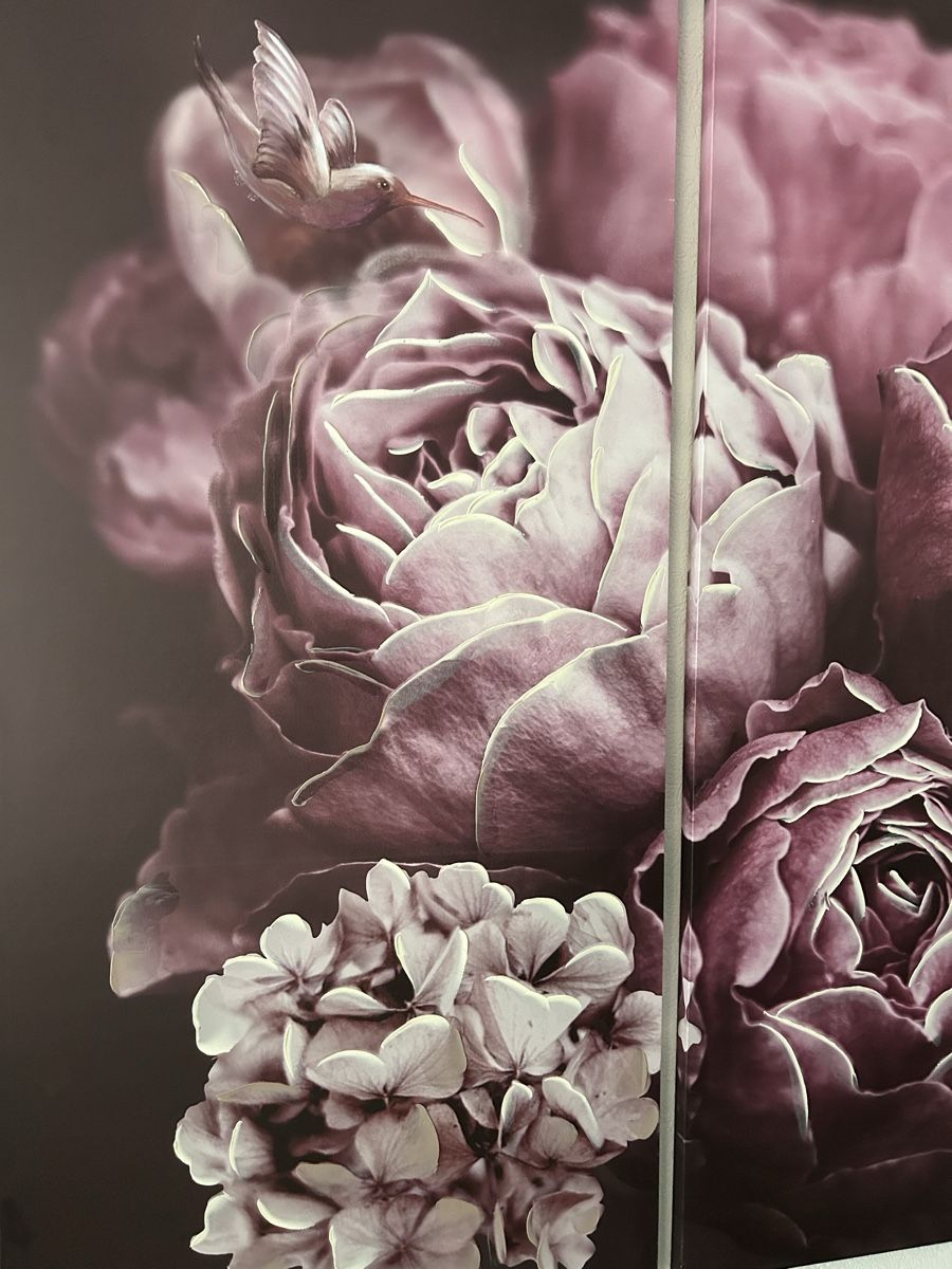 Foto & Immagini: XXL Bild Lila Rosen – Usato da Frick venduto da nikki09 1