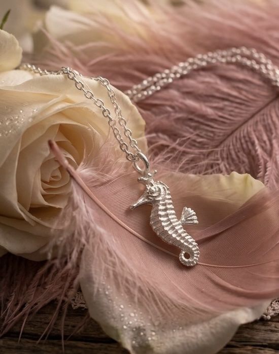 Catenine: Silberkette mit Seepferd – Usato da Niederglatt ZH venduto da Silberschmuck-design