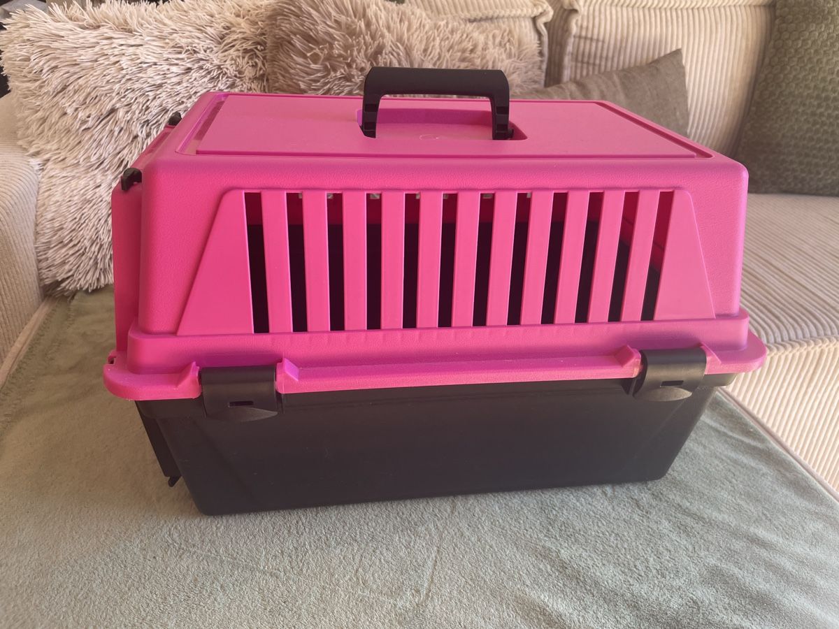 Niches, paniers: Katzentransportbox – D'occasion à Toffen par jes_76l5 1