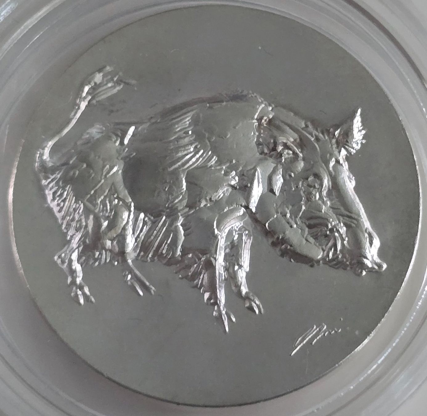 Medaglie: Silbermedaille Hans Erni Wildpark Langenberg 1969 – Usato da Duebendorf venduto da Dguguseli 1