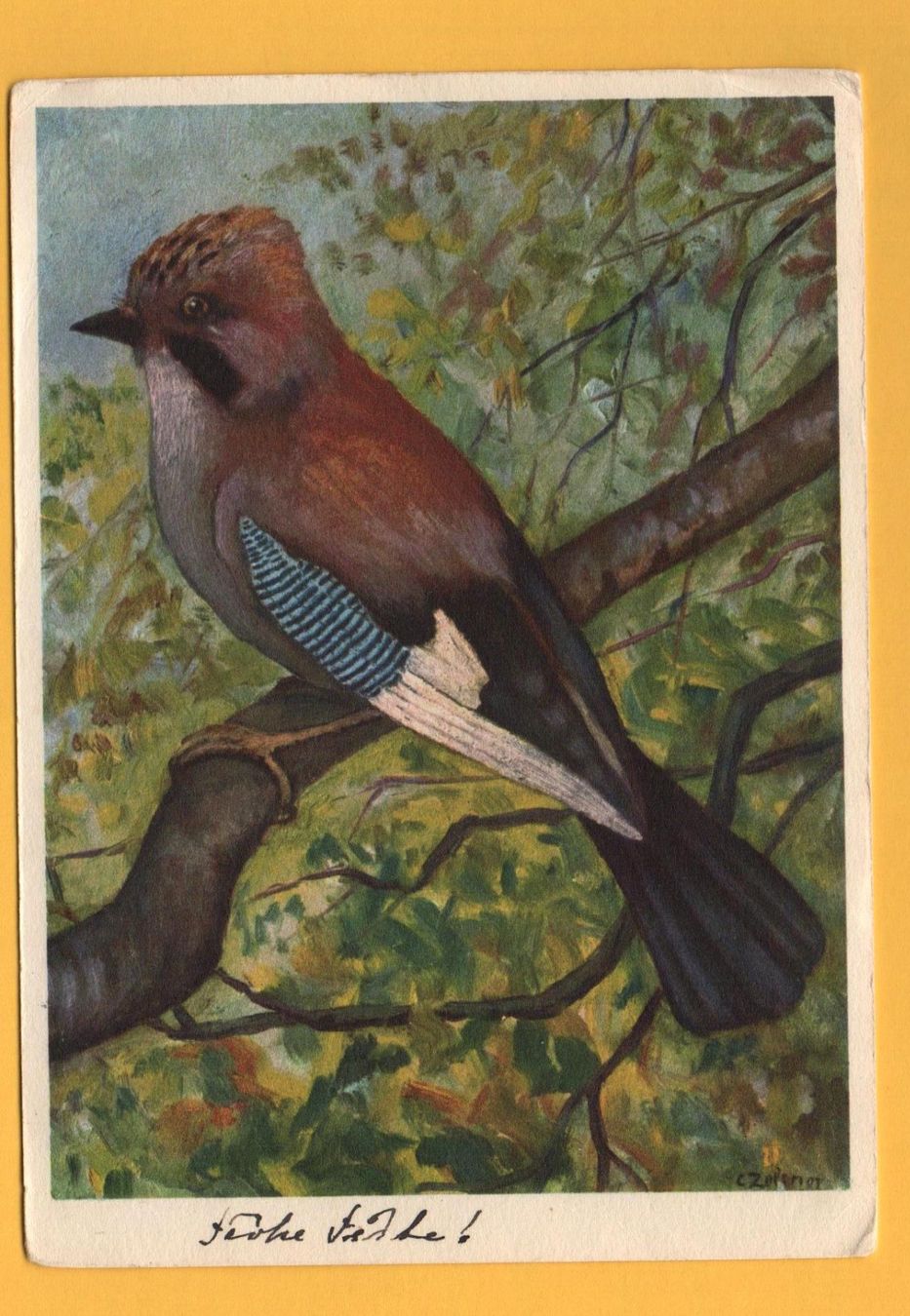 Ansichtskarten: Künstler-AK VOGEL Eichelhäher – Gebraucht aus Jona von philajona